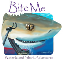 Bite Me Shark design T-shirt from Paul Borghi Designs