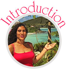 Island Showcase - Introductions